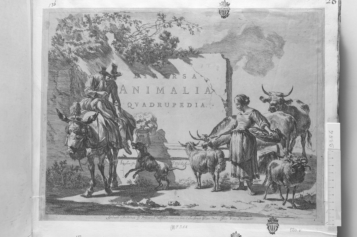 Diversa animalia quadrupedia: frontespizio (stampa) di De Visscher Jan (attribuito), Berchem Nicolaes (sec. XVII)