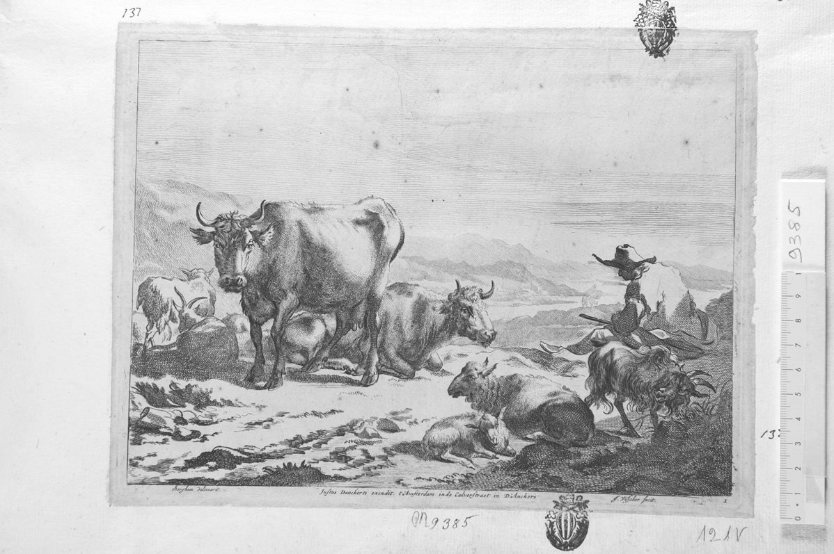 Diversa animalia quadrupedia: pastore con vacche e pecore (stampa) di De Visscher Jan (attribuito), Berchem Nicolaes (sec. XVII)