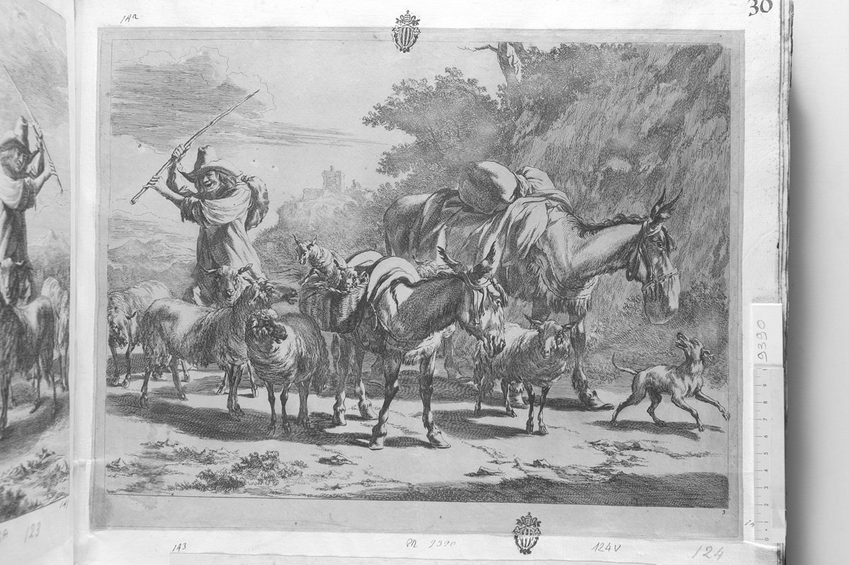 Diversa animalia quadrupedia: pastore che conduce un gregge (stampa) di De Visscher Jan, Berchem Nicolaes (sec. XVII)