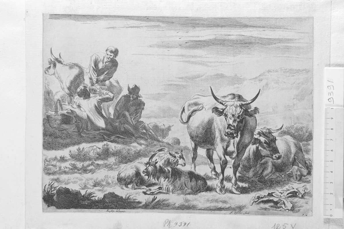 Diversa animalia quadrupedia: pastori che si riposano bevendo e gregge (stampa) di De Visscher Jan, Berchem Nicolaes (sec. XVII)
