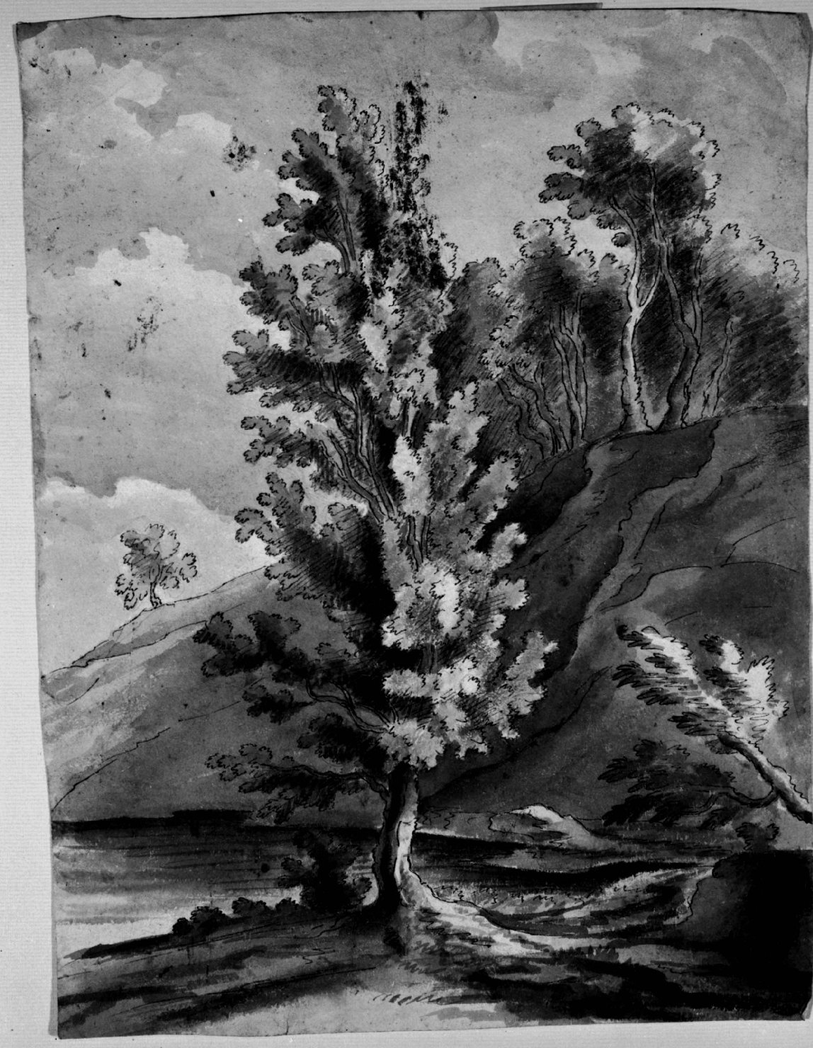 Paesaggio con grande albero al centro (disegno) di Campedelli Ottavio (attribuito) (sec. XIX)