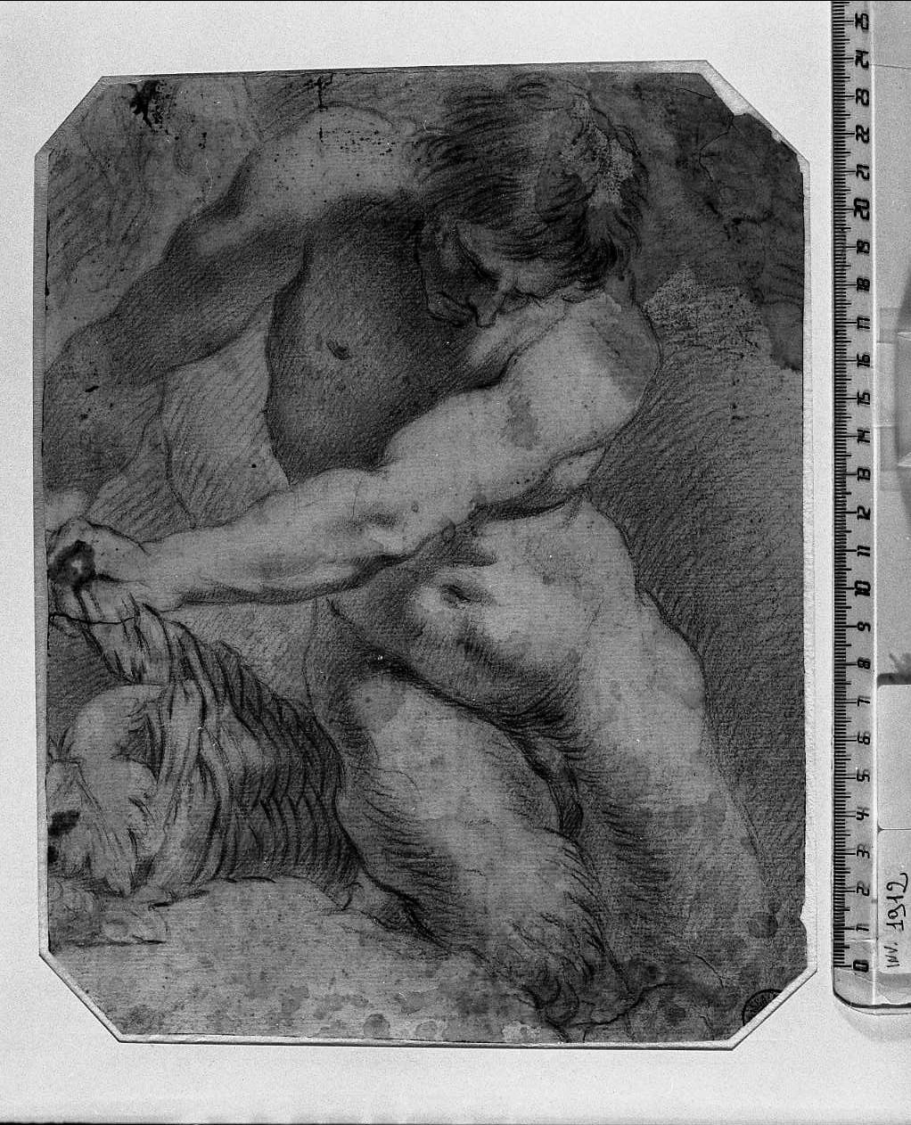 giovane nudo chinato che tiene di fianco un cesto (disegno, opera isolata) di Luti Benedetto (attribuito) (sec. XVIII)