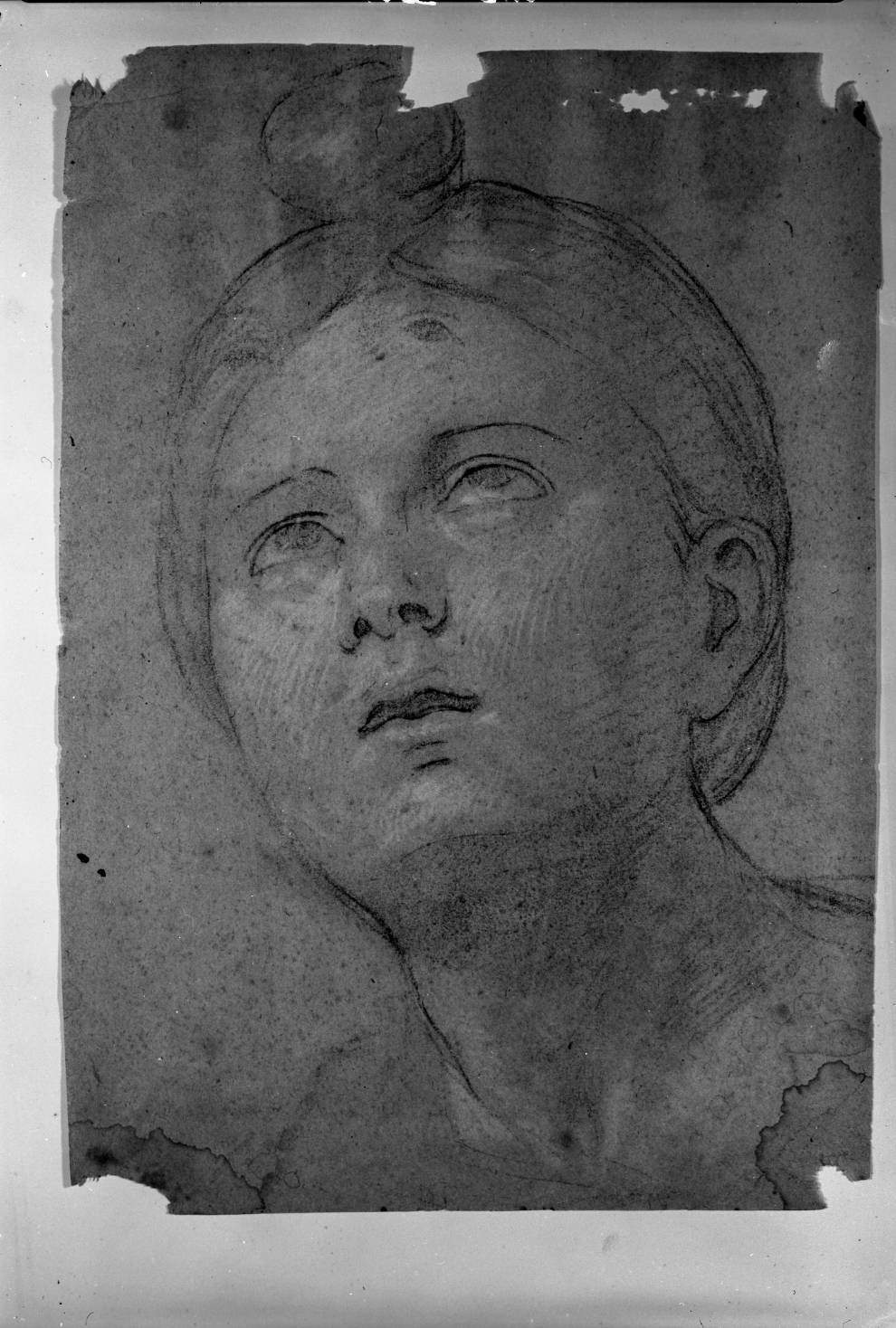 studio di testa femminile/ figura maschile inginocchiata volta verso sinistra (disegno, opera isolata) di Zampieri Domenico detto Domenichino (sec. XVII)