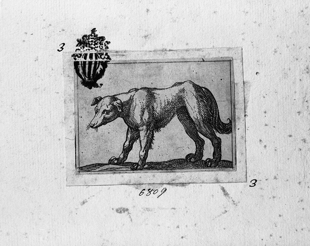 Cane volto a sinistra, cane (stampa smarginata) di Tempesta Antonio (secc. XVI/ XVII)