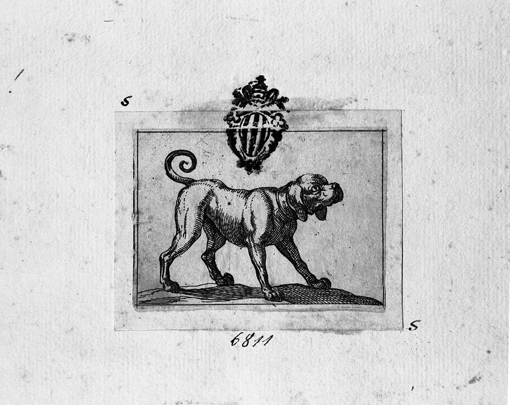 Cane volto a destra, cane (stampa smarginata) di Tempesta Antonio (secc. XVI/ XVII)