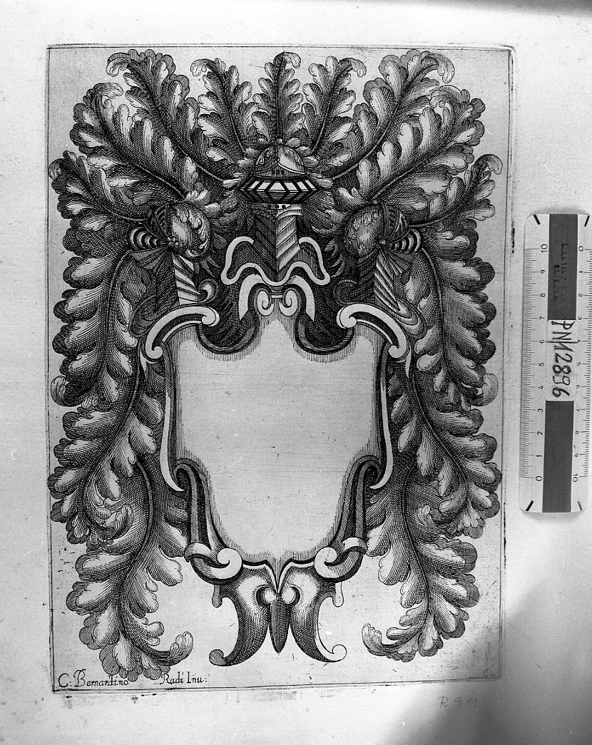 Scudetto per stemma ornato con fogliame, stemma (stampa smarginata) di Radi Bernardino (sec. XVII)
