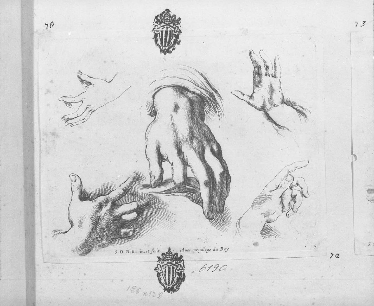 I principi del disegno: cinque mani, mani (stampa tagliata) di Della Bella Stefano (sec. XVII)