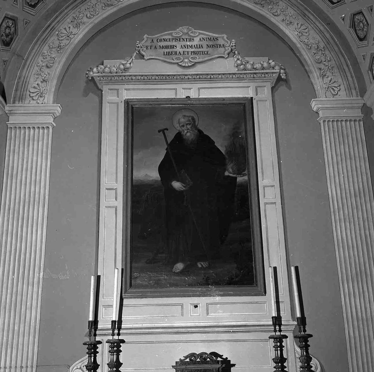 Sant'Antonio Abate (dipinto) di Borghesi Francesco detto Giapitè (sec. XIX)