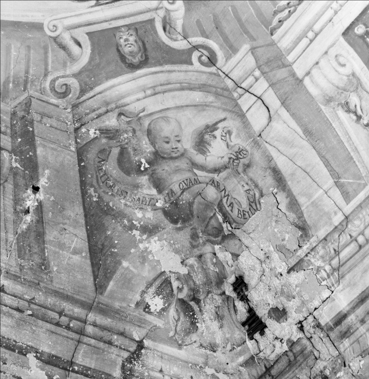angioletti reggicartiglio (dipinto murale, serie) - ambito ferrarese (sec. XVIII)