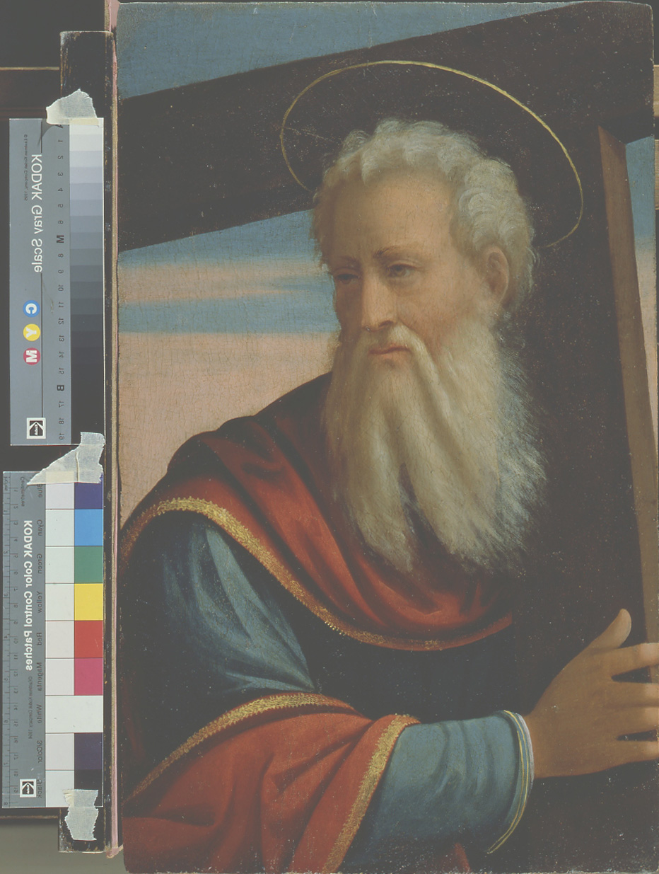 Sant'Andrea Apostolo (dipinto, elemento d'insieme) di Maestro dei Dodici Apostoli (sec. XVI)