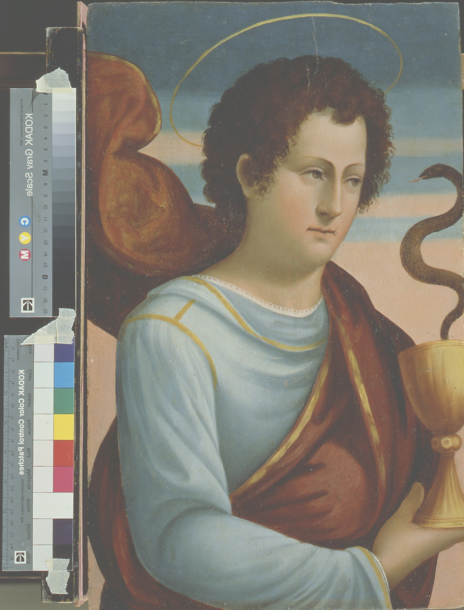 San Giovanni Evangelista (dipinto, elemento d'insieme) di Maestro dei Dodici Apostoli (sec. XVI)