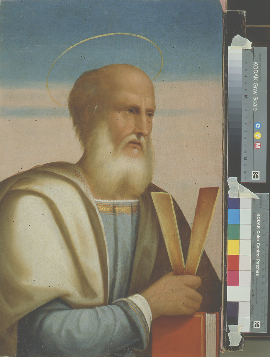 San Giuda Taddeo (dipinto, elemento d'insieme) di Maestro dei Dodici Apostoli (sec. XVI)