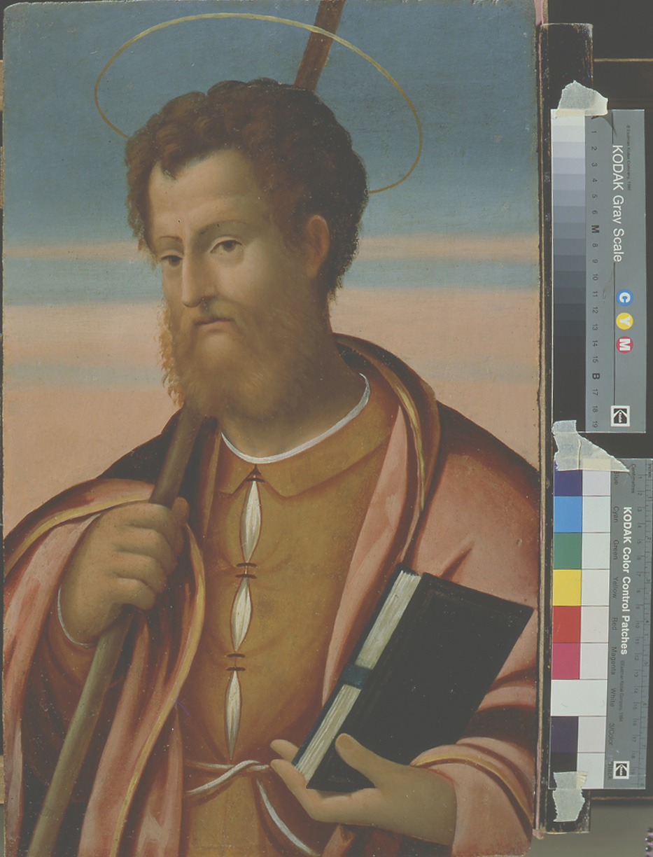 San Giacomo Minore (dipinto, elemento d'insieme) di Maestro dei Dodici Apostoli (sec. XVI)