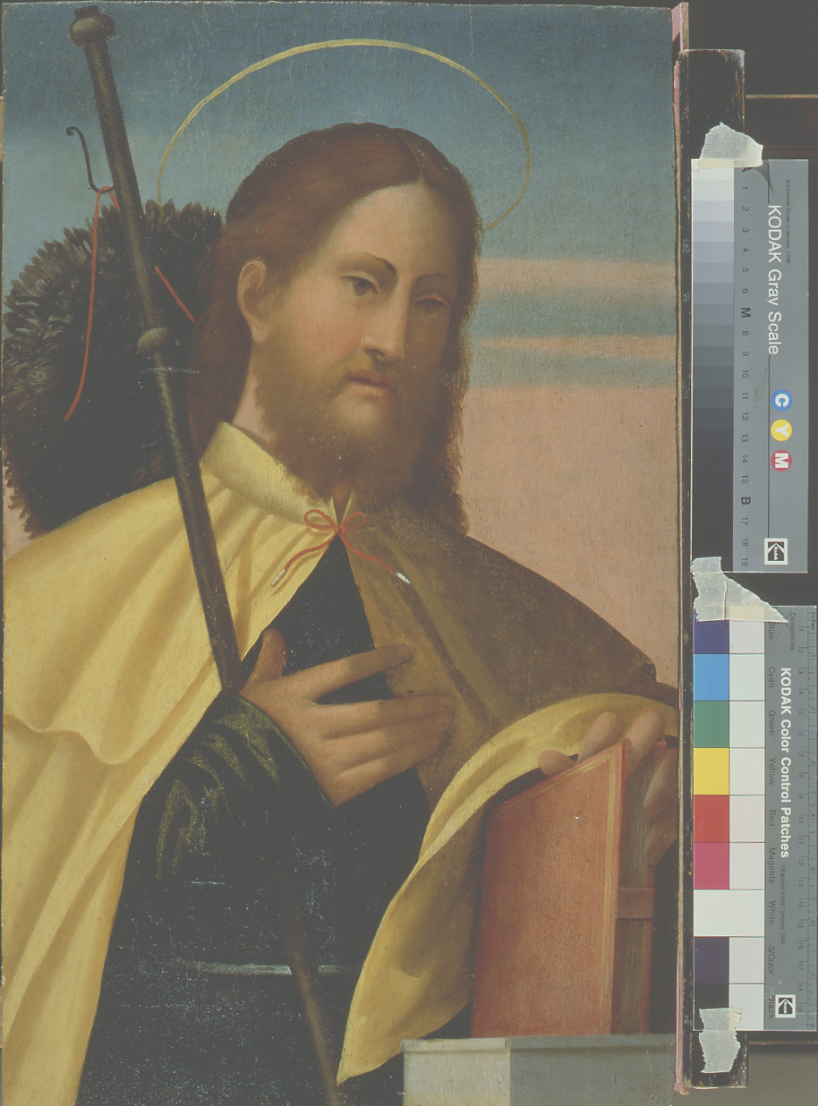 San Giacomo Maggiore (dipinto, elemento d'insieme) di Maestro dei Dodici Apostoli (sec. XVI)