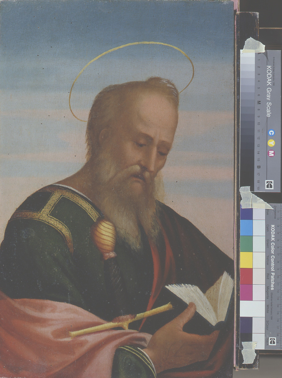 San Paolo (dipinto, elemento d'insieme) di Maestro dei Dodici Apostoli (sec. XVI)