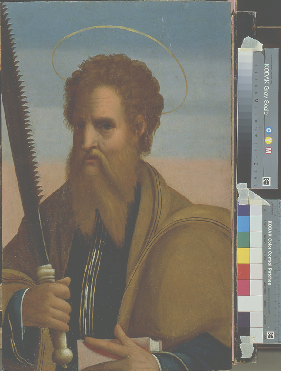 San Simone (dipinto, elemento d'insieme) di Maestro dei Dodici Apostoli (sec. XVI)