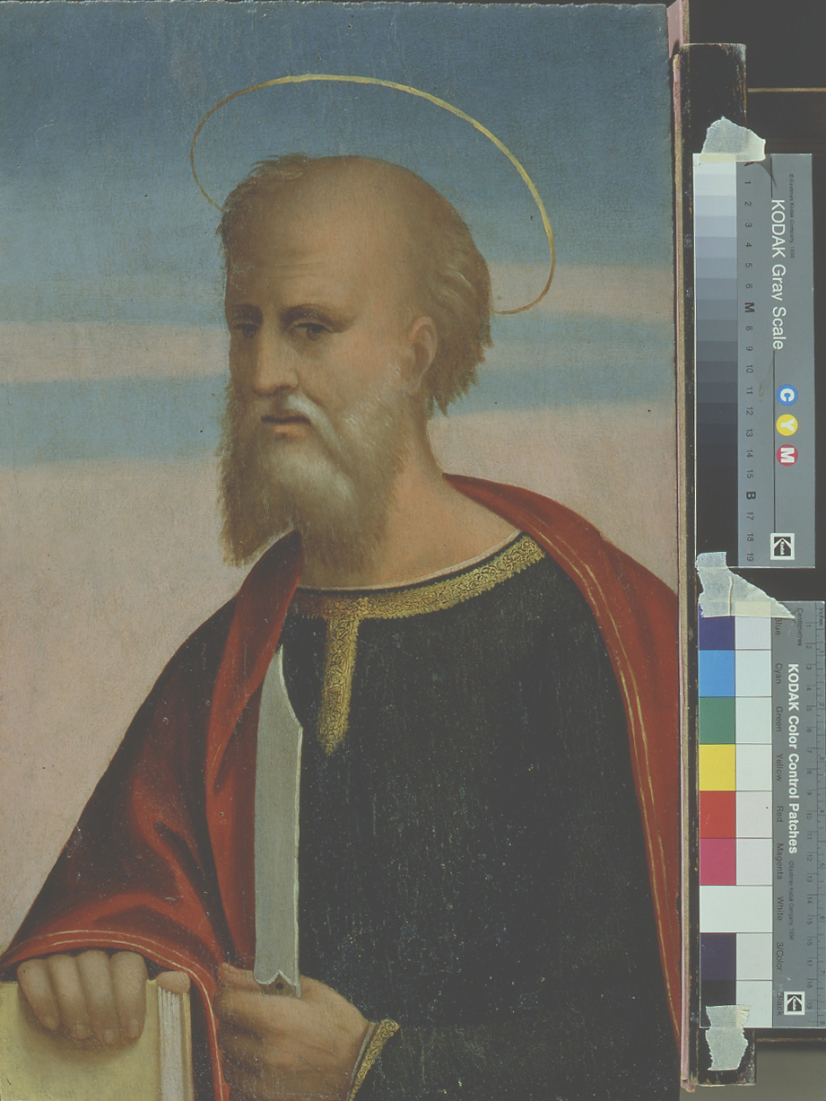 San Bartolomeo (dipinto, elemento d'insieme) di Maestro dei Dodici Apostoli (sec. XVI)