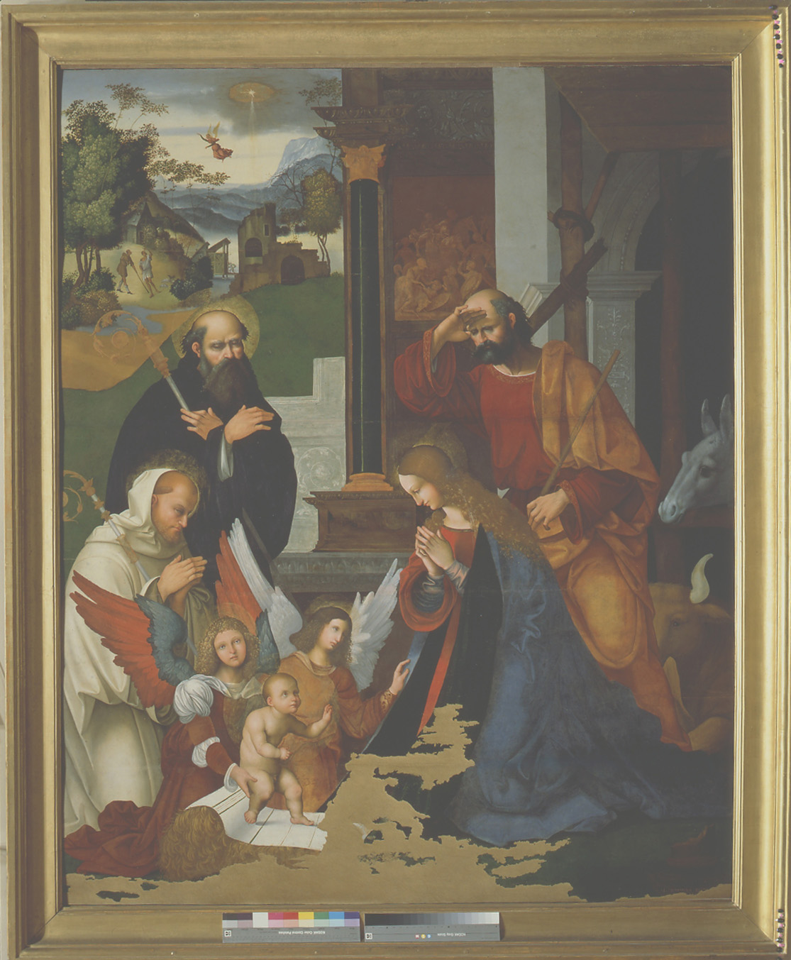Natività di Gesù con San Bernardo e Sant'Alberico (dipinto) di Mazzolino Ludovico (sec. XVI)