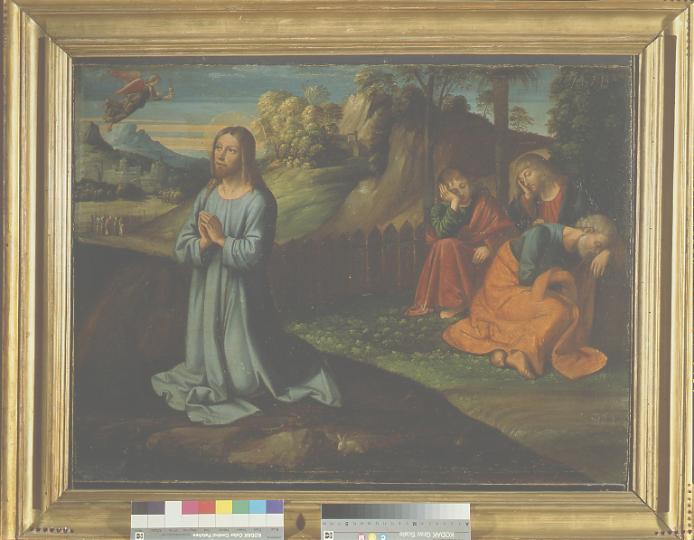 Orazione di Cristo nell'orto di Gethsemani (dipinto) di Benvenuti Giovanni Battista (sec. XVI)