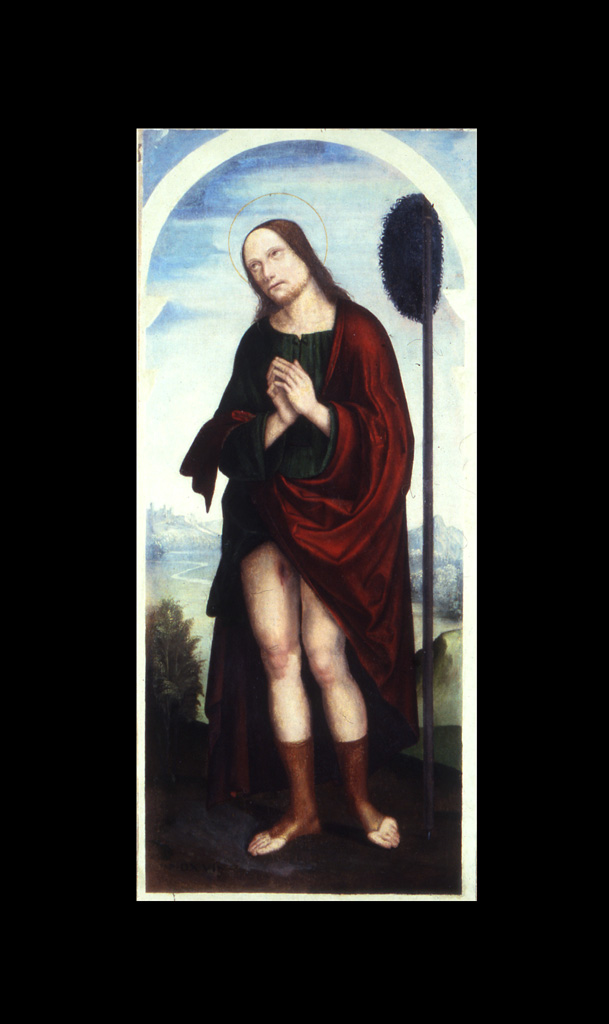 San Rocco (dipinto, elemento d'insieme) di De Martinazzi Simone (sec. XVI)