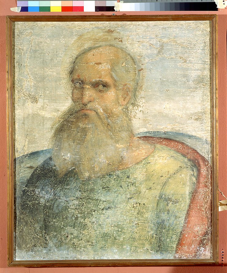 San Paolo Apostolo (dipinto murale, frammento) di Panetti Domenico (attribuito) (inizio sec. XVI)