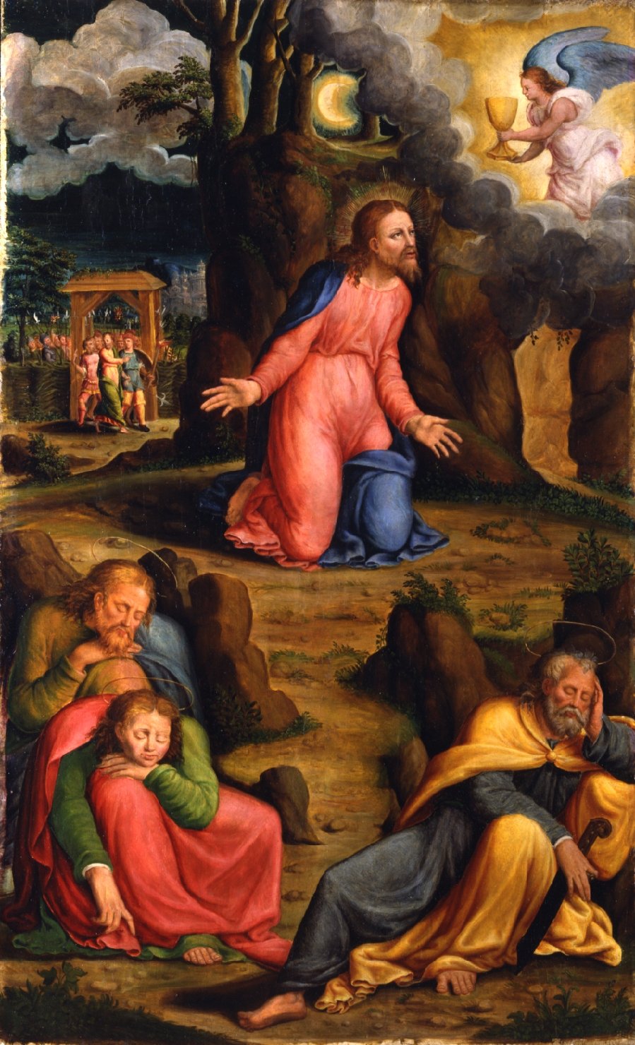 Orazione di Cristo nell'orto di Gethsemani (dipinto, elemento d'insieme) di Roselli Niccolò (sec. XVI)