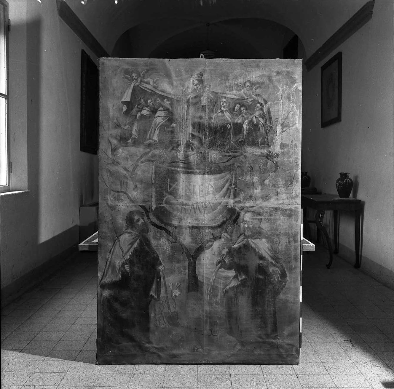 La vigna del Carmelo (dipinto) - ambito emiliano-romagnolo (sec. XVII)