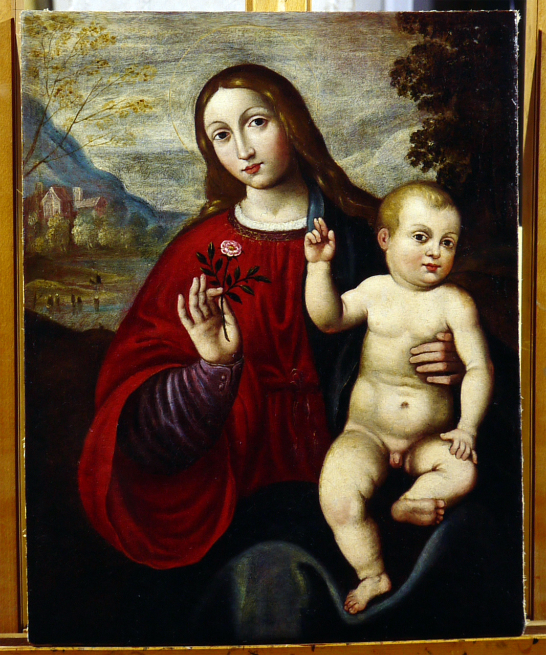 Madonna con Bambino benedicente (dipinto) di Raibolini Francesco detto Francesco Francia (bottega) (inizio sec. XVI)