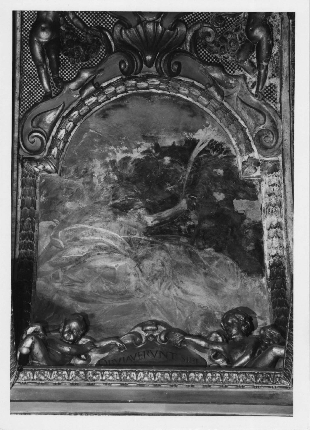 angeli e virtù (dipinto murale) di Albani Francesco (sec. XVII)
