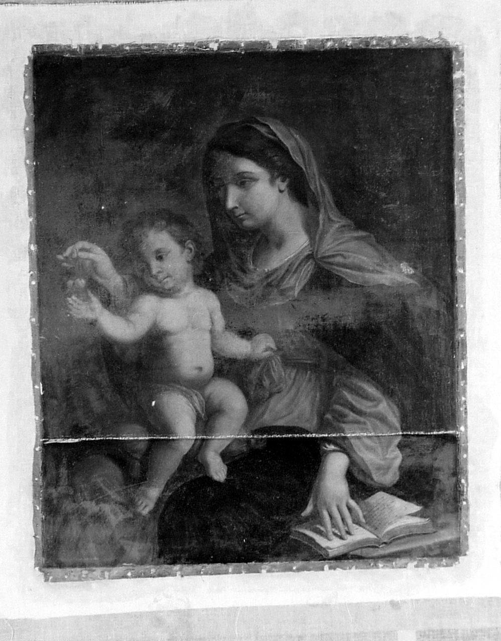Madonna delle ciliegie, Madonna con Bambino (dipinto) di Gennari Cesare (scuola) (sec. XVII)