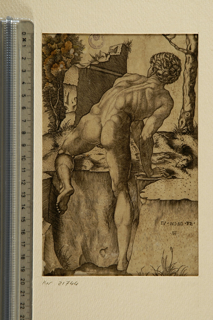 L'arrampicatore (stampa smarginata) di Raimondi Marcantonio, Buonarroti Michelangelo (sec. XVI)