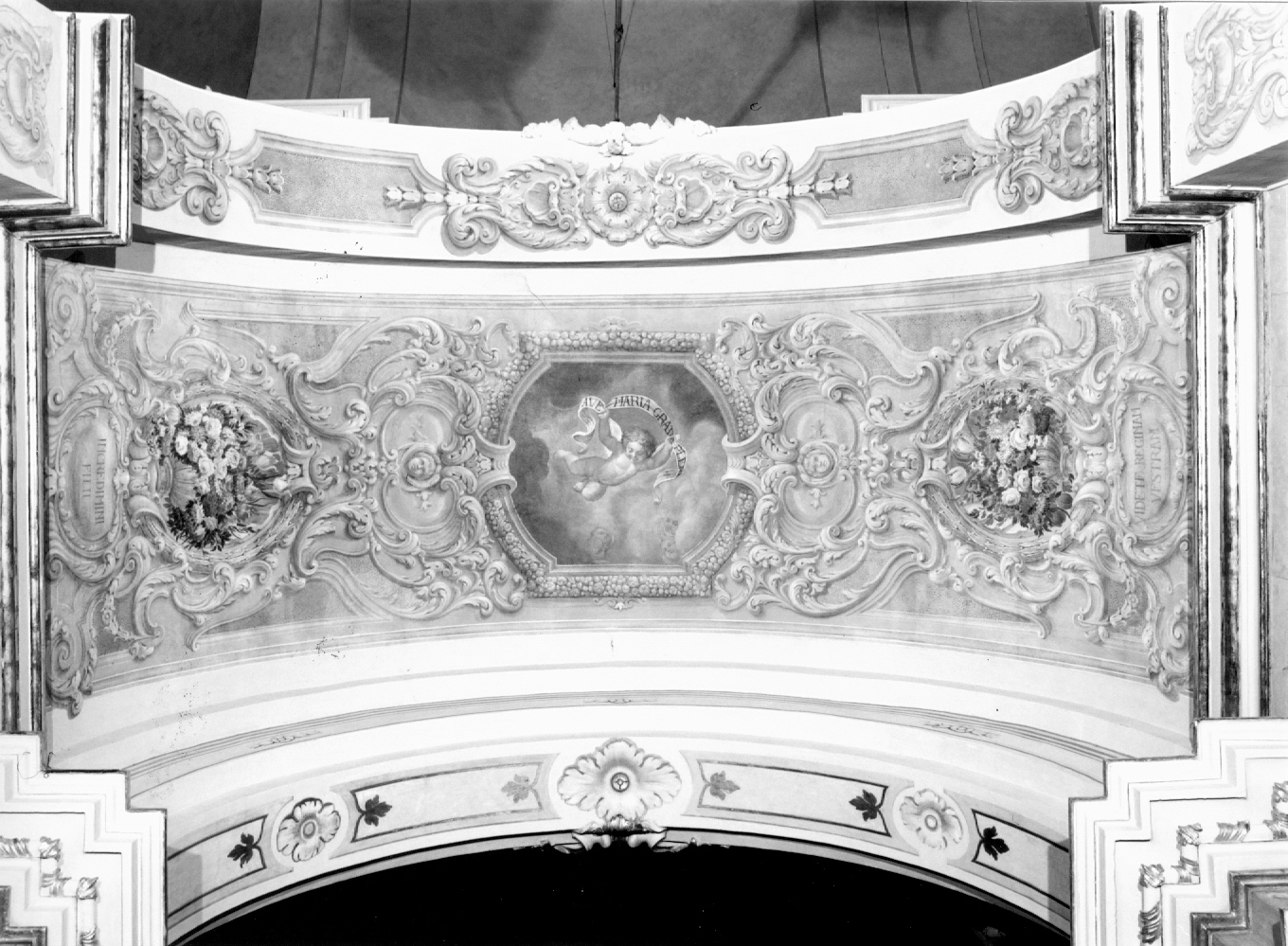 motivi decorativi fitomorfi; chuerubini (dipinto murale) di Pasqui Renato (attribuito) (sec. XX)