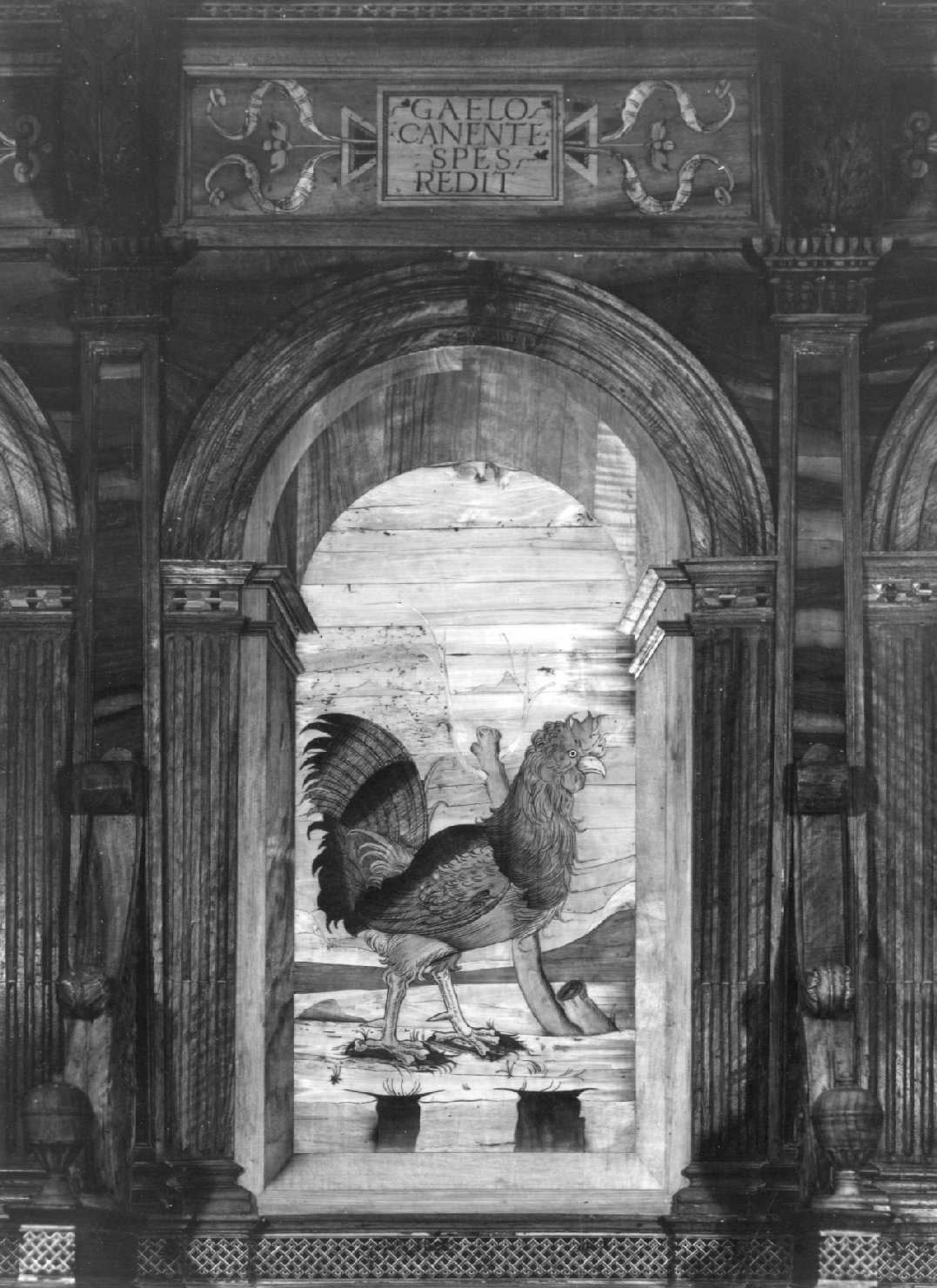 gallo (decorazione a intarsio, elemento d'insieme) di De Marchi Biagio (sec. XVI)