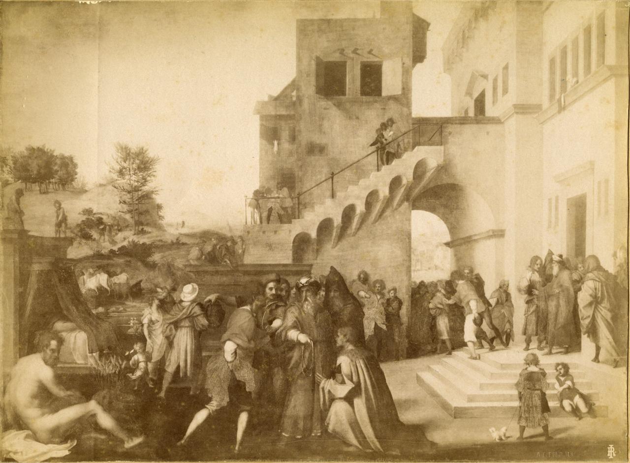 Storie di Giuseppe - Dipinti (positivo) di Andrea del Sarto, Fratelli Alinari (ditta) (XIX/ XX)