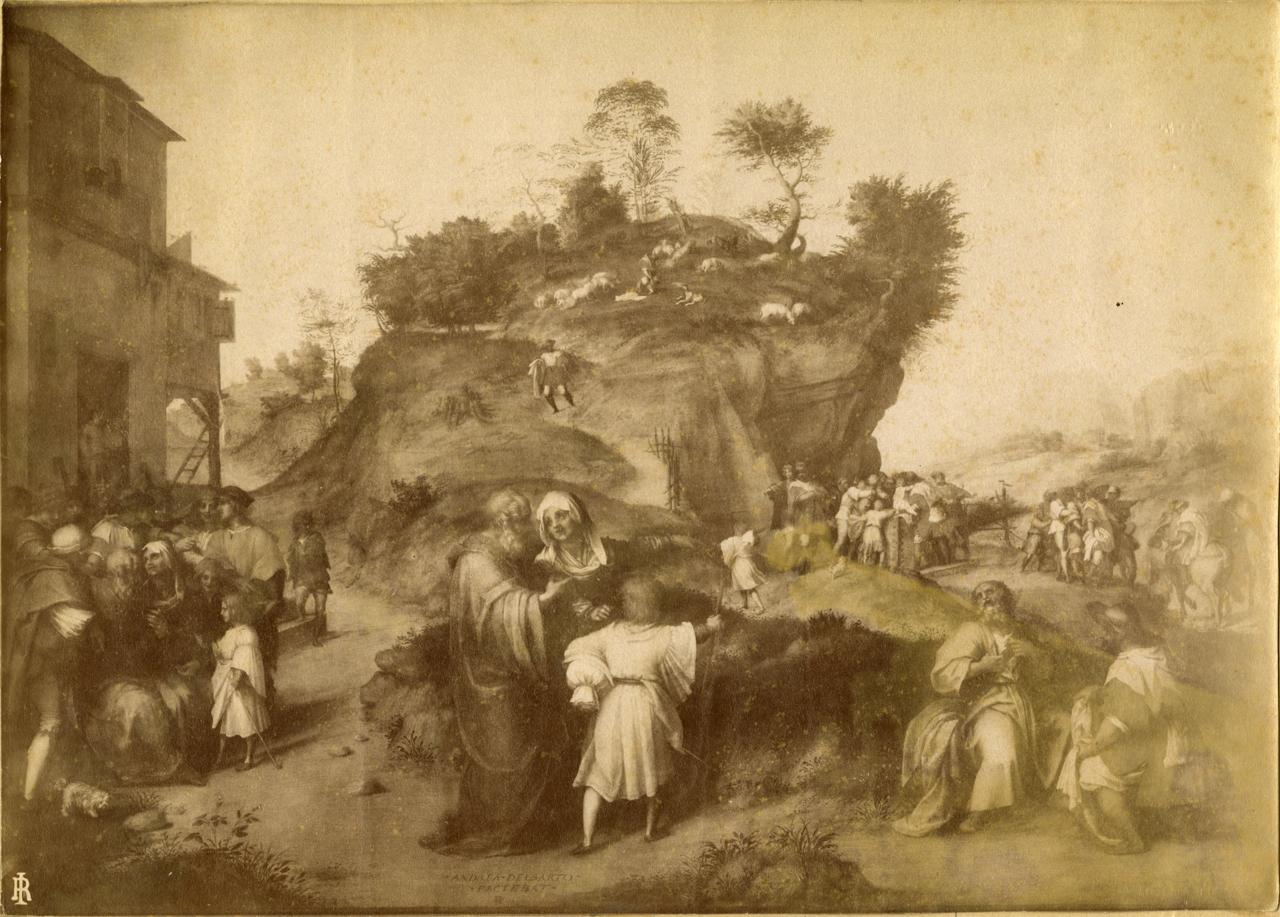 Storie di Giuseppe - Dipinti (positivo) di Andrea del Sarto, Fratelli Alinari (ditta) (XIX/ XX)