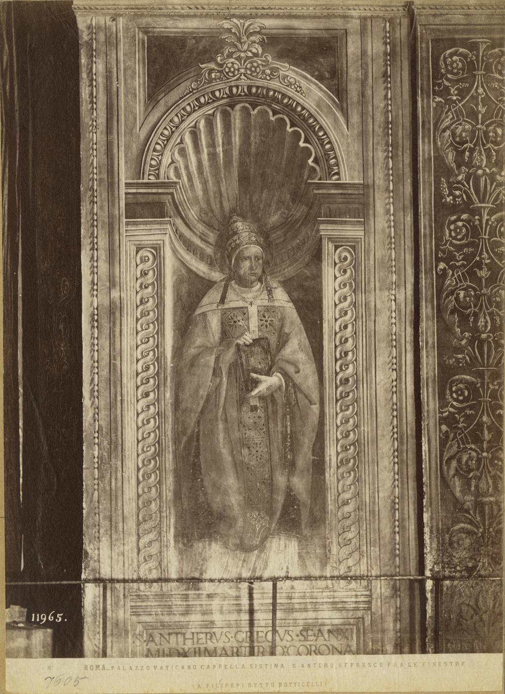 Ritratti di papi - Affreschi (positivo) di Fra Diamante (attr), Botticelli, Sandro (attr), Fratelli Alinari (ditta) (XIX)
