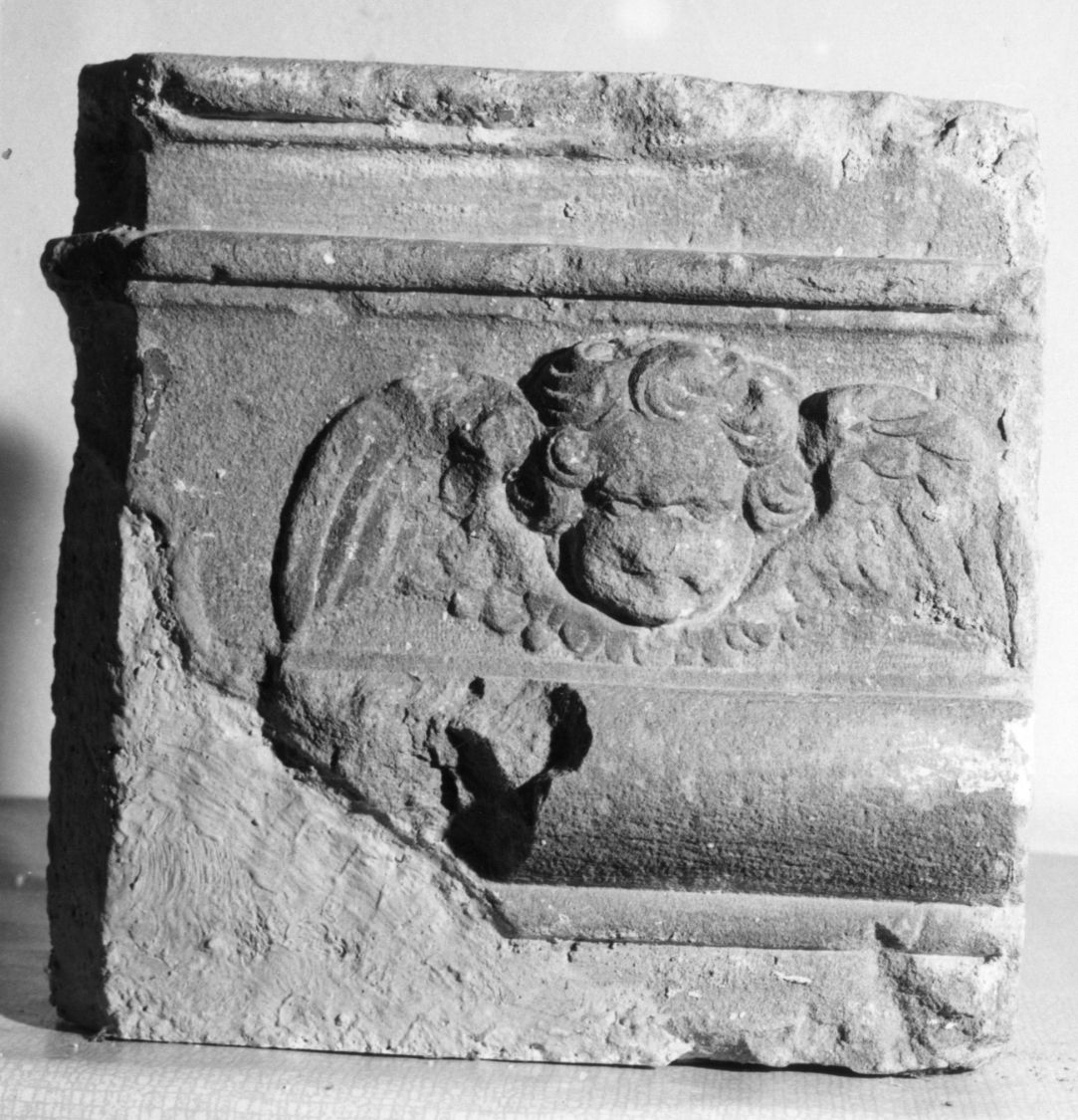 testa di cherubino (rilievo) - ambito emiliano (sec. XVI)