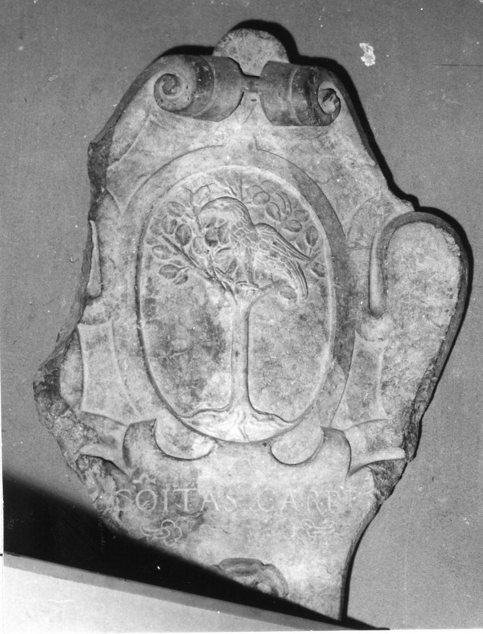 stemma di Carpi (scultura) - bottega carpigiana (prima metà sec. XVII)