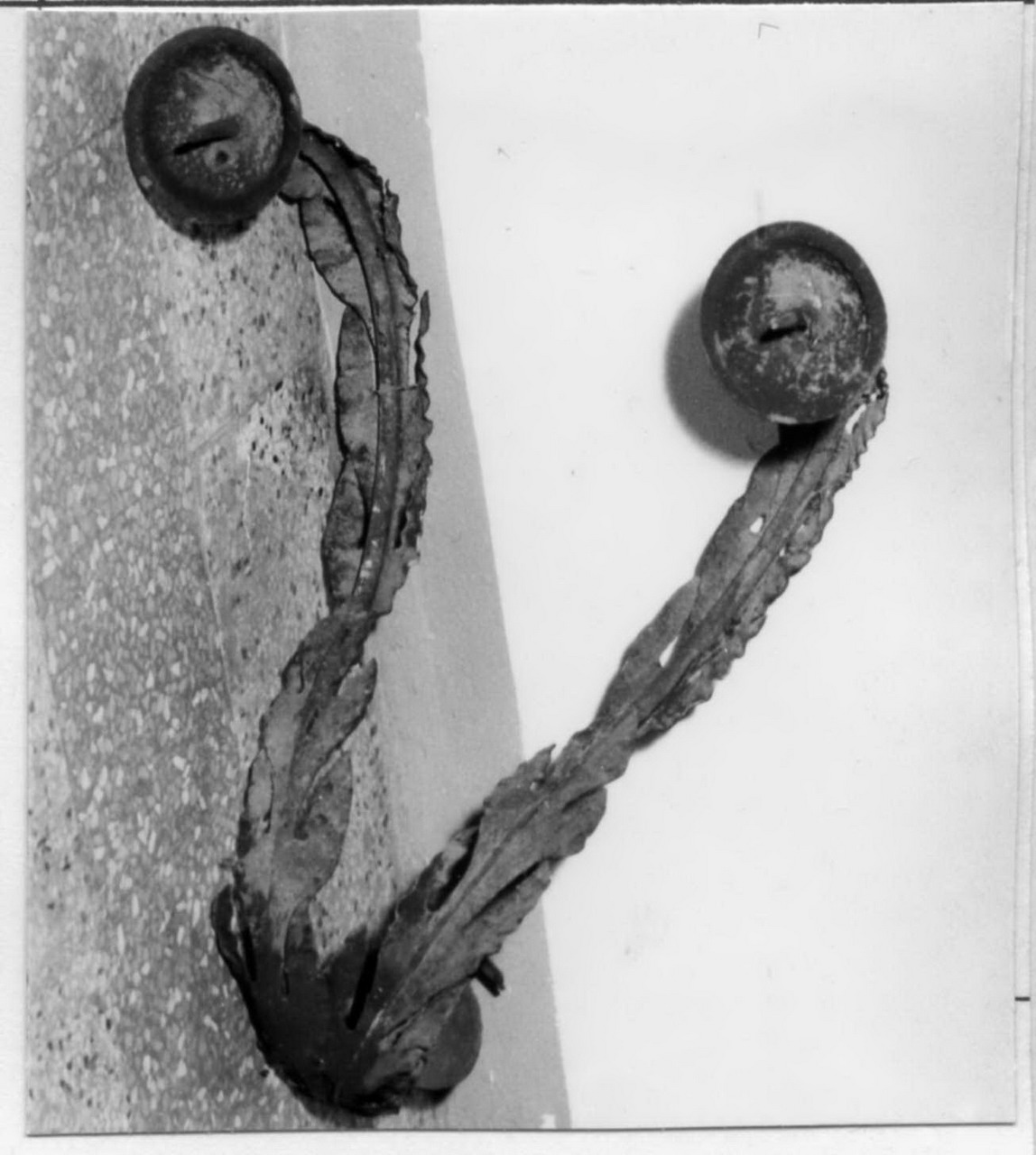 candeliere da parete, serie - bottega carpigiana (seconda metà sec. XVIII)