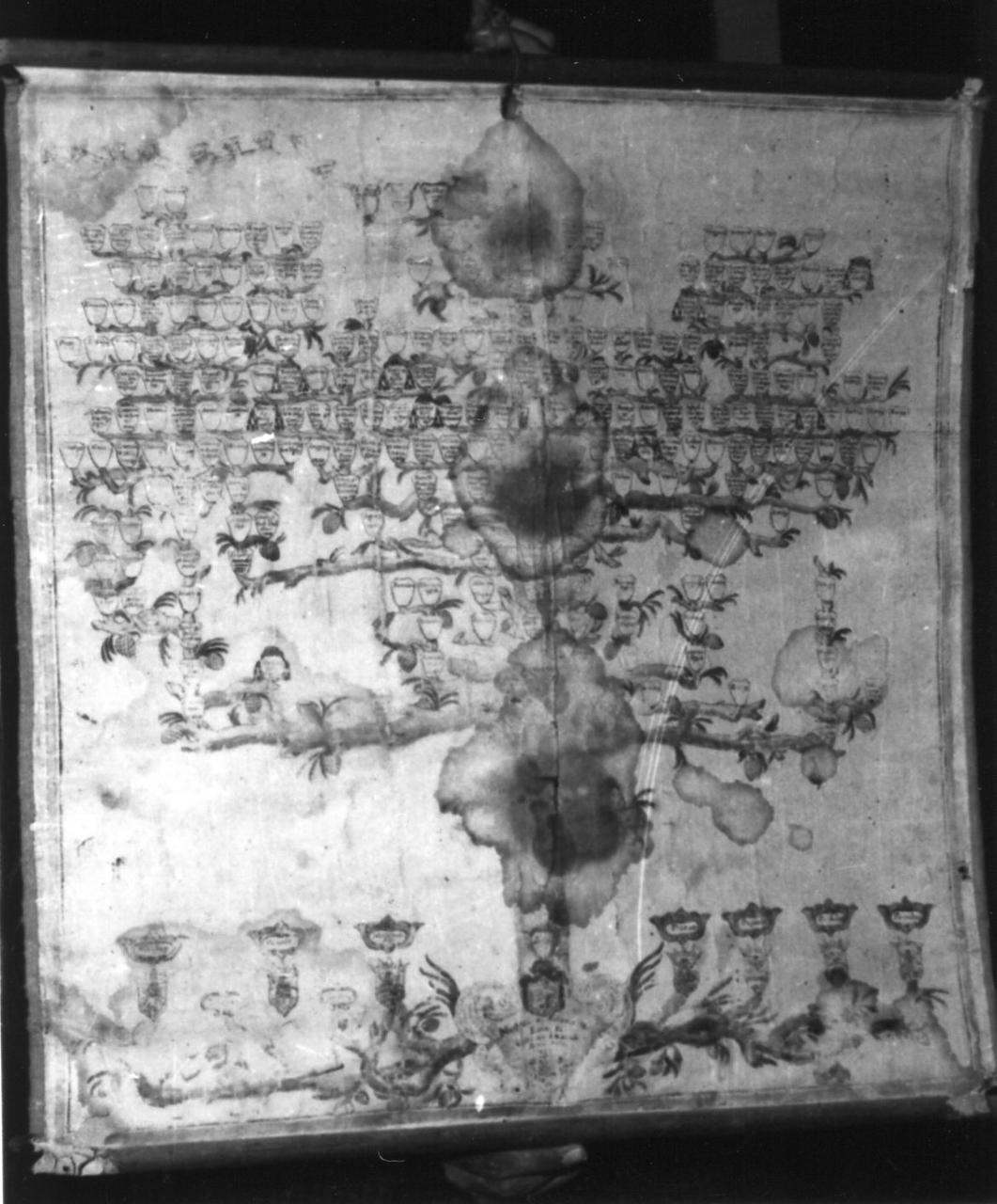 albero genealogico della Famiglia Pio di Savoia (disegno) - ambito carpigiano (metà sec. XVIII)