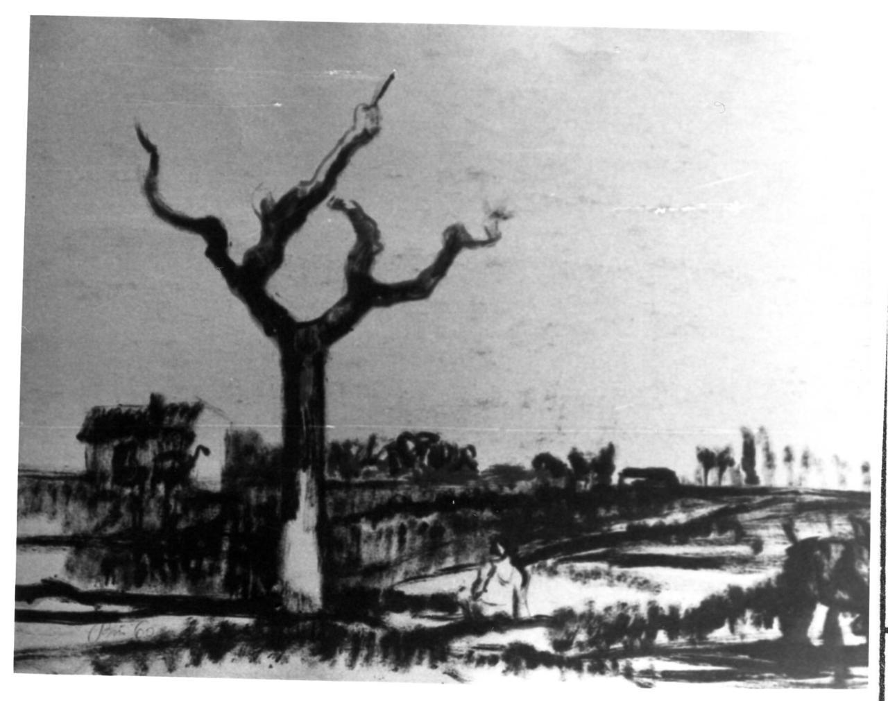 dipinti di alberi famosi - 9 paesaggio con alberi disegno, post 1940 - ante 1950