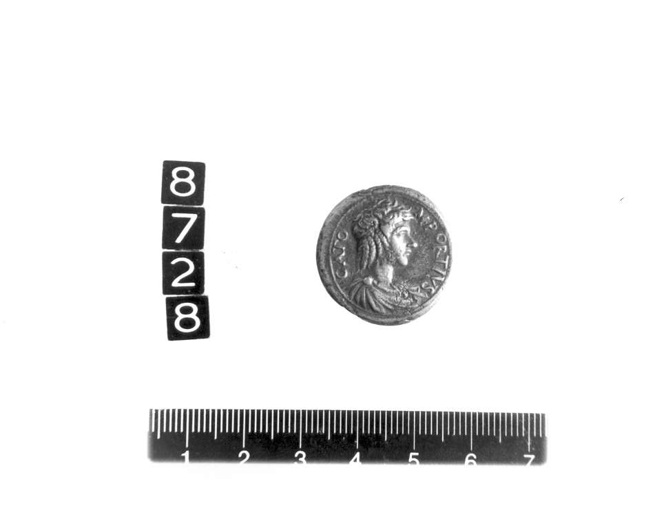 medaglia di Belli Valerio detto Valerio Vicentino (primo quarto sec. XVI d.C)