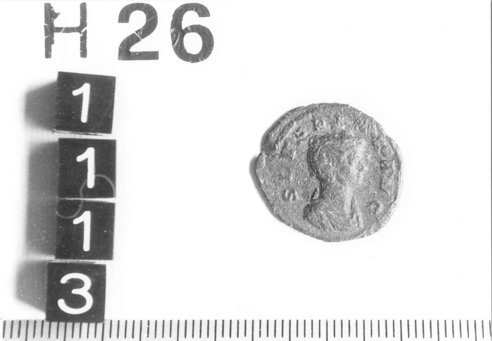 moneta - denario (sec. III d.C)