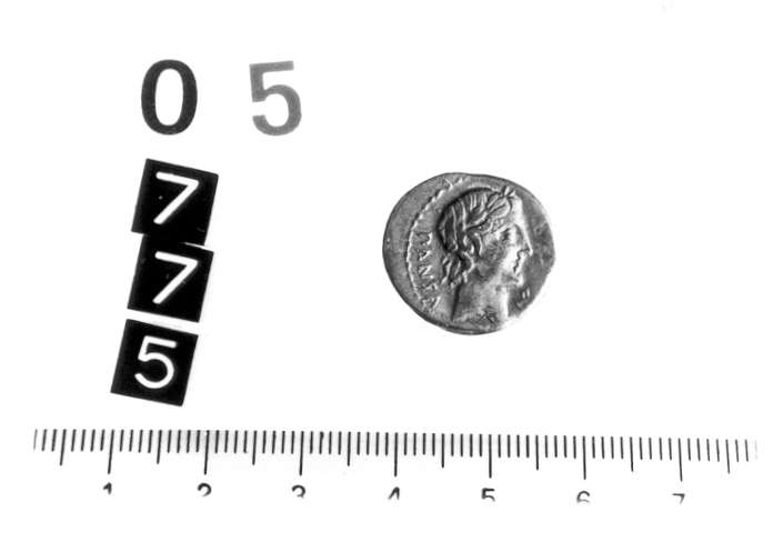 moneta - denario (sec. II a.C)