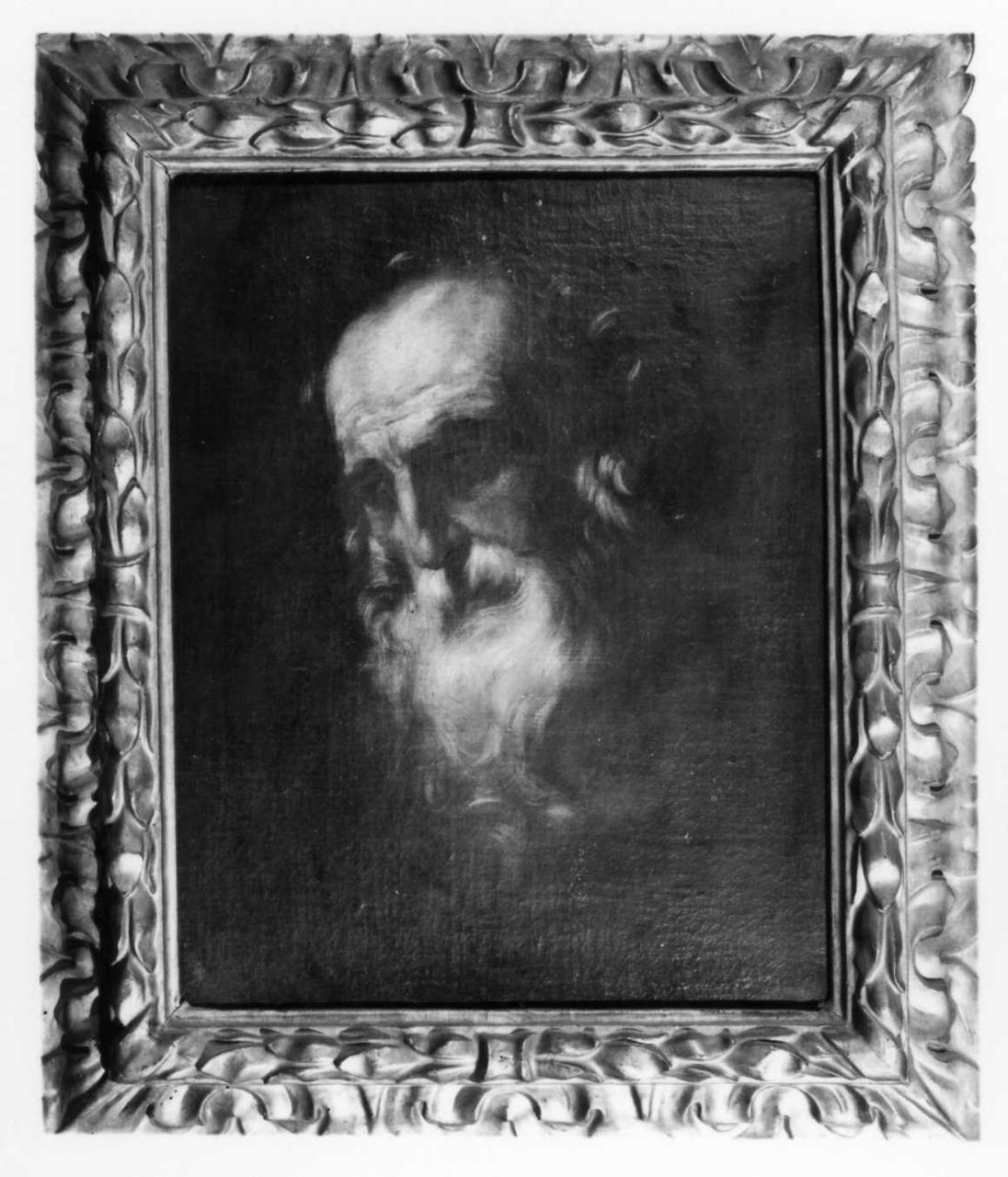 San Girolamo (dipinto) di Peruzzini Giovanni (attribuito) (metà sec. XVII)
