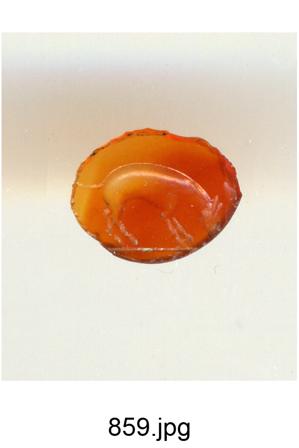 quadrupede (gemma) - produzione romana (secc. I/ II)