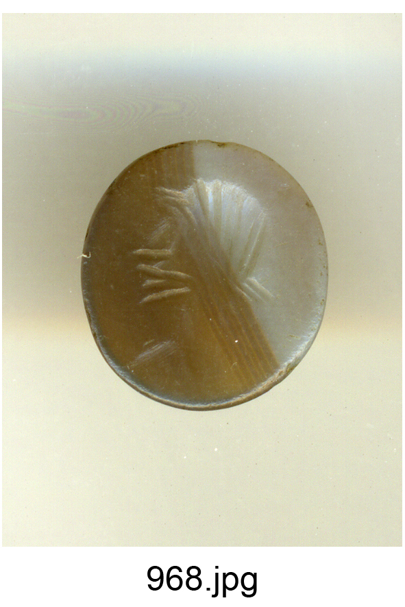 testa d'uomo di profilo (gemma) - produzione italiana (secc. XVI/ XVII)