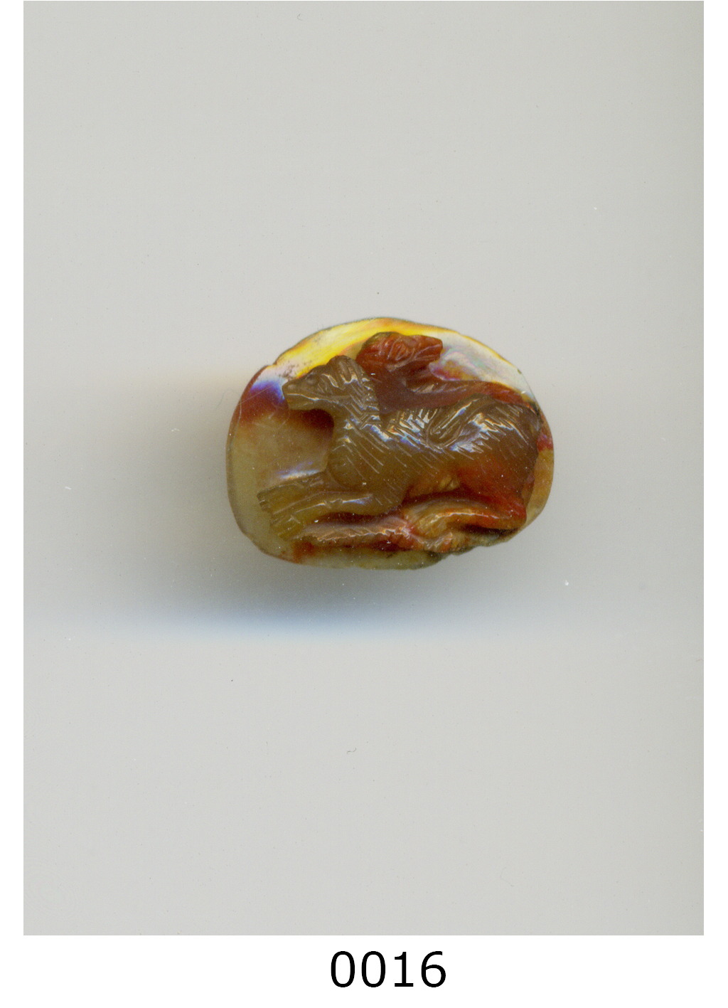 due cani (cammeo) - bottega milanese (fine sec. XVI)