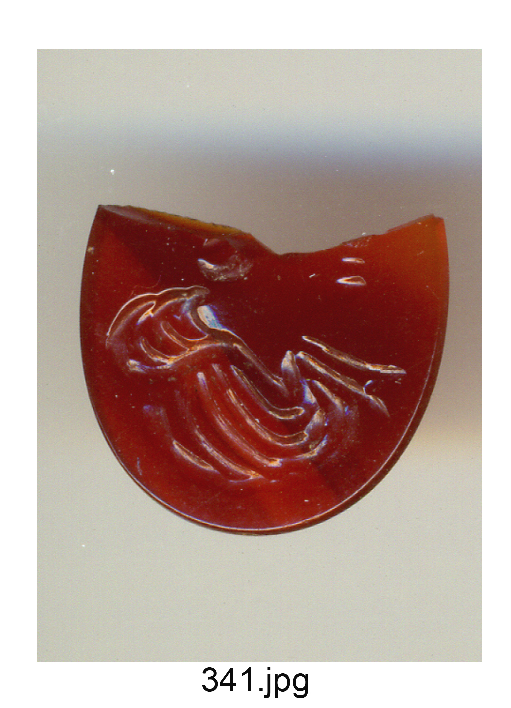 busto (gemma) - produzione romana, produzione italiana (secc. XVI/ XVIII)