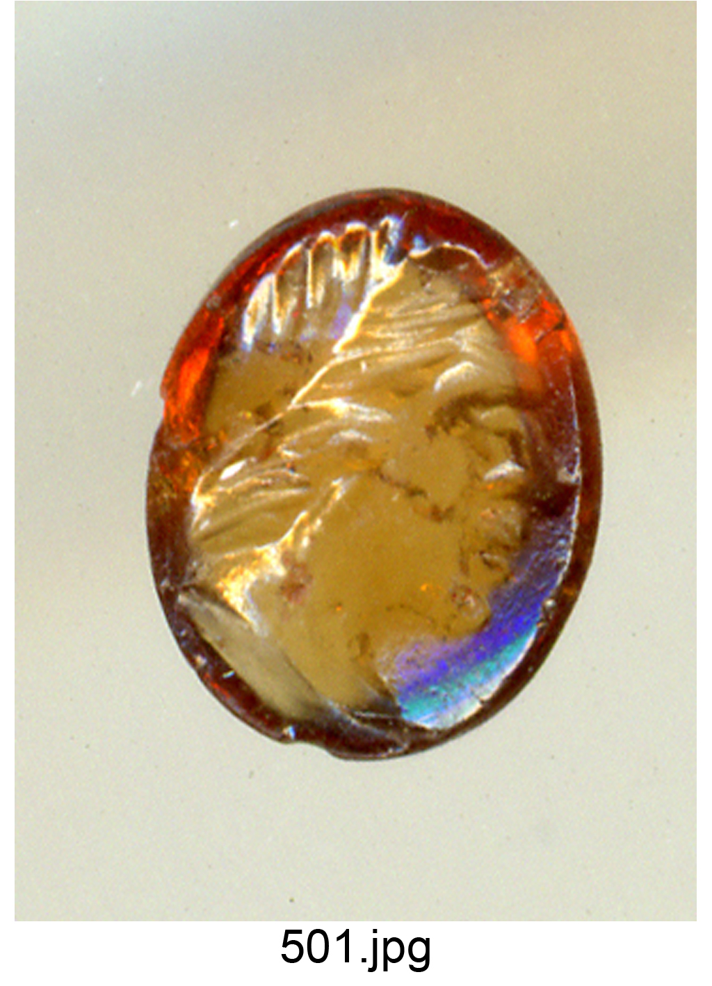 testa d'uomo di profilo (gemma) - produzione italiana (secc. XVI/ XVII)